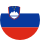 Flag of SLO