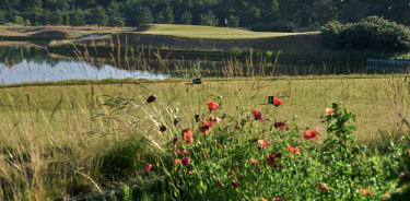 Bernardus Zomer 2021 44