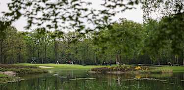 Rinkven International-1488807720