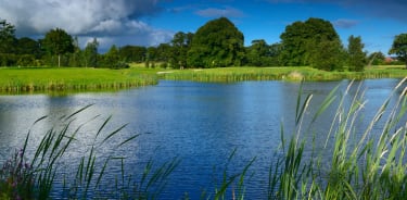 isps-handa-world-invitational-men-women-presented-by-modest-golf-management-2019