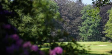 Soudal - Rinkven International