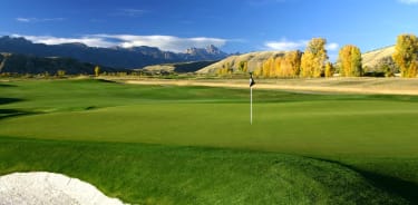 example_01_golf_field