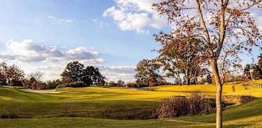 Houghton Golf Club 2