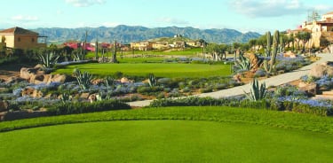 Desert Springs Resort 