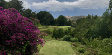 4th green Golf du Rova