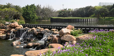 DLF Golf & Country Club-1469662391
