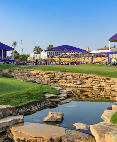 DPWTC_Packages_Header