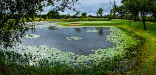 SDC Open: Tournament Guide