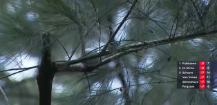 WATCH: Tapio Pulkkanen gets his ball stuck in a tree