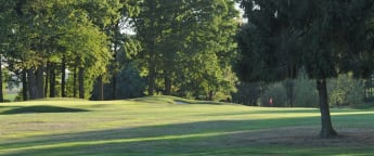 Waterloo an old-style treasure