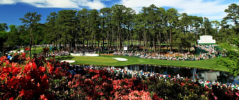 The Darling Buds of April at Augusta