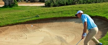 Vancsik feeding off Madeira memories