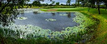 SDC Open: Tournament Guide