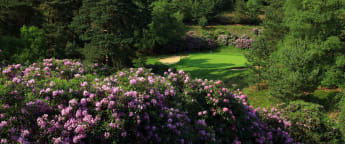 Inside the Duke's Course with Des Smyth