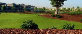 Amateurs aim for Dubai spot