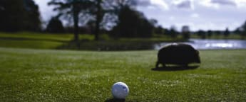 Meet the New star for Northern Irish Golf - although he can be a bit prickly