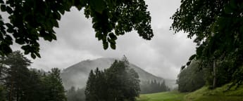 Widing battles through the conditions to lead the way after round three is yet to be concluded