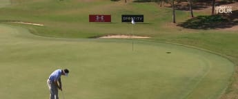 Shot of the day - Gonzo from downtown 