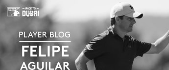 Player Blog: Felipe Aguilar