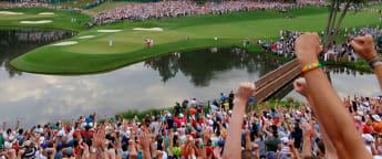 Rorymania sweeps the United States