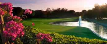 Turkish host venue a National treasure