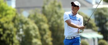 Rose back in the frame