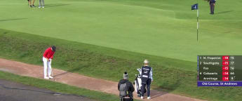 Dan Huizing's stunning shot from the path at 17