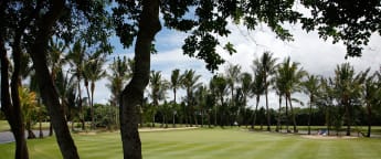 Five in focus: MCB Tour Championship