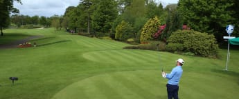 Warren steals the show at The K Club