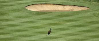 Perth International returns to Lake Karrinyup