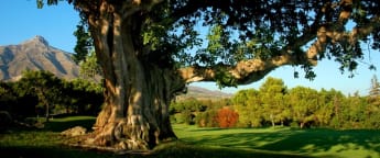 Open de Andalucía returns to Aloha Golf for the third time