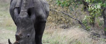 Ahlers - You never lose love for conservation 