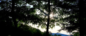 Russell's Terre Blanche course guide