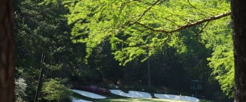 The World has Georgia on its mind