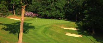 Western Union named Official Partner of the British Masters