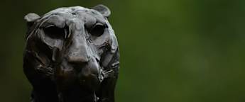 Sparkling Dunhill helps mark golden anniversary