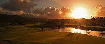 Opening Swing | All you need to know