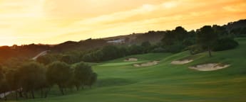 NH Collection Open offering free entry