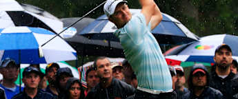 Late flourish leaves Rose well placed