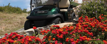 KLM Open takes more steps in conservation efforts