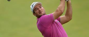 Flawless Fox flying in Slovakia