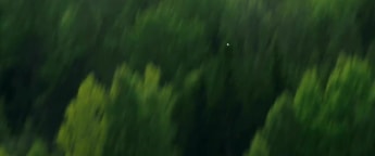 Movie night with Cuartero Blanco