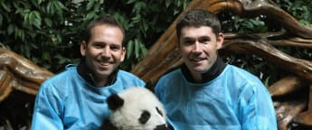 Harrington and Garcia meet Chengdu's giant pandas 