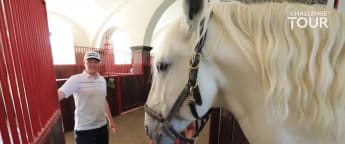 Robin Dawson - Straight from the horse's mouth