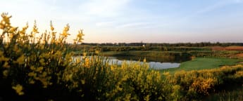 Exposants du Cazoo Open de France 2022