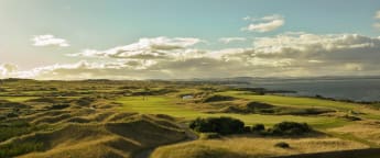 Welcome from the SABD Directors