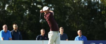 Wood loving life at The Dutch