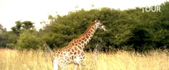 John Murphy and Mitch Waite explore Zebula Golf Estate & Spa