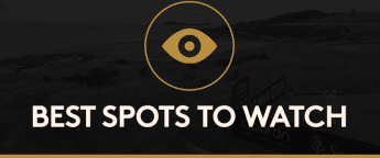 Best spots to watch