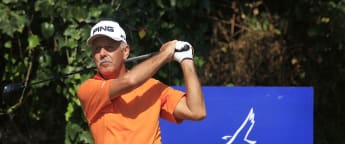 English crop rise to the top in Benahavis